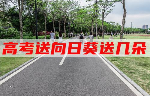 �߿������տ��ͼ���