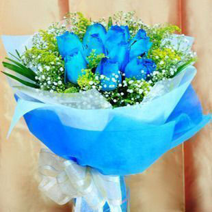 9朵蓝玫瑰/祝福