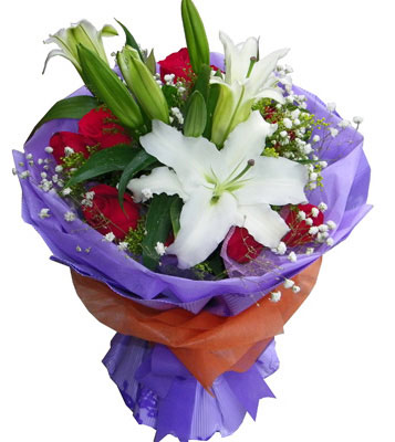 想你了我的朋友